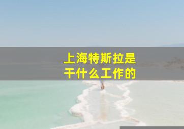 上海特斯拉是干什么工作的