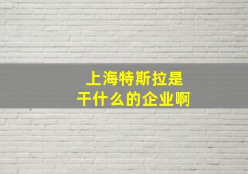 上海特斯拉是干什么的企业啊