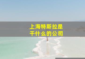 上海特斯拉是干什么的公司