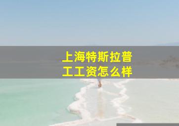 上海特斯拉普工工资怎么样