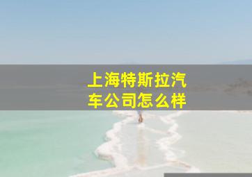 上海特斯拉汽车公司怎么样