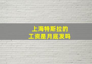 上海特斯拉的工资是月底发吗