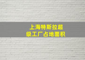 上海特斯拉超级工厂占地面积