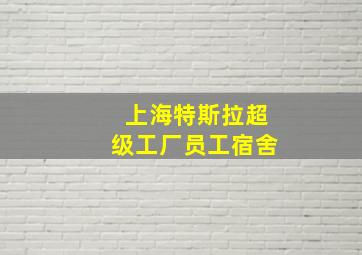 上海特斯拉超级工厂员工宿舍