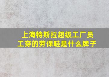 上海特斯拉超级工厂员工穿的劳保鞋是什么牌子