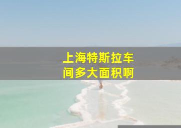 上海特斯拉车间多大面积啊