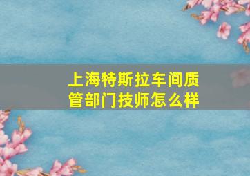 上海特斯拉车间质管部门技师怎么样