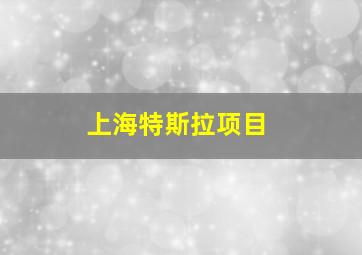 上海特斯拉项目