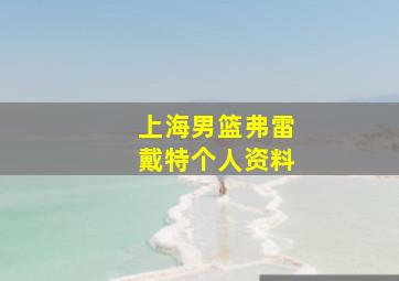 上海男篮弗雷戴特个人资料