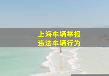 上海车辆举报违法车辆行为