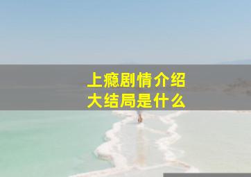 上瘾剧情介绍大结局是什么