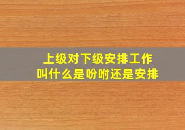 上级对下级安排工作叫什么是吩咐还是安排