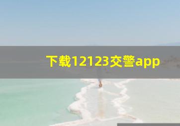 下载12123交警app