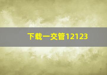 下载一交管12123