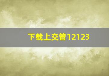 下载上交管12123