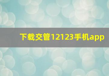 下载交管12123手机app