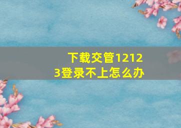 下载交管12123登录不上怎么办