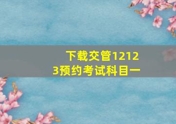 下载交管12123预约考试科目一