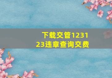 下载交管123123违章查询交费