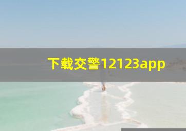 下载交警12123app