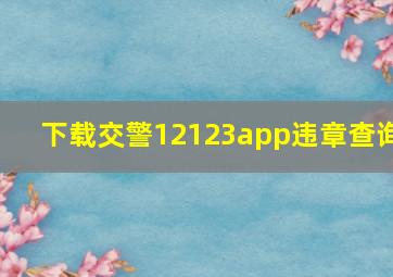 下载交警12123app违章查询