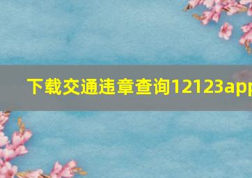 下载交通违章查询12123app