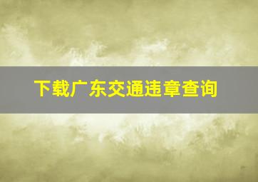 下载广东交通违章查询