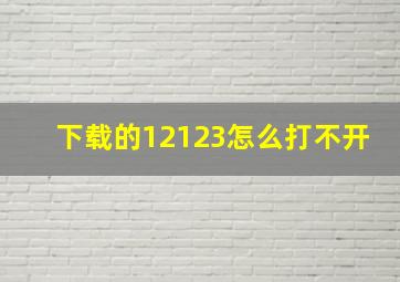 下载的12123怎么打不开