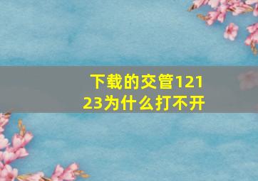 下载的交管12123为什么打不开