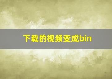 下载的视频变成bin