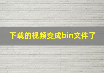 下载的视频变成bin文件了