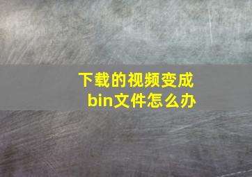 下载的视频变成bin文件怎么办