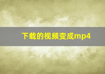 下载的视频变成mp4