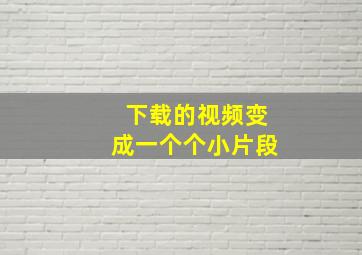 下载的视频变成一个个小片段