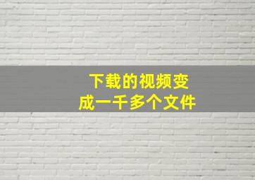 下载的视频变成一千多个文件