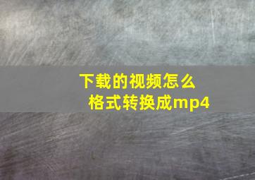 下载的视频怎么格式转换成mp4