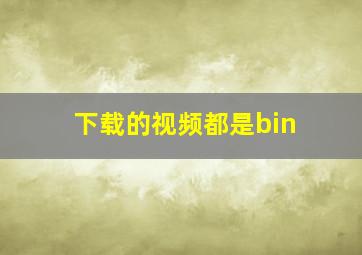 下载的视频都是bin