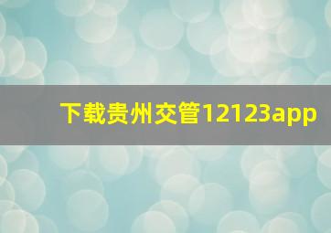 下载贵州交管12123app