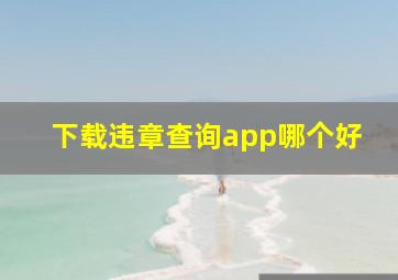 下载违章查询app哪个好