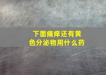 下面痛痒还有黄色分泌物用什么药