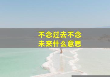 不念过去不念未来什么意思