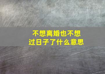 不想离婚也不想过日子了什么意思