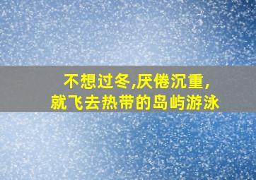 不想过冬,厌倦沉重,就飞去热带的岛屿游泳