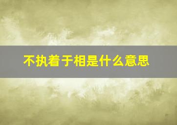 不执着于相是什么意思