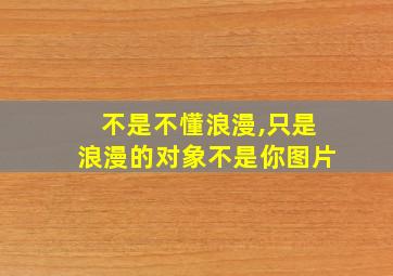 不是不懂浪漫,只是浪漫的对象不是你图片