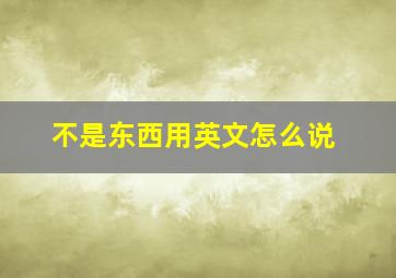 不是东西用英文怎么说