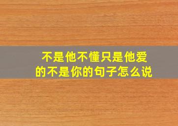 不是他不懂只是他爱的不是你的句子怎么说