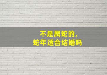 不是属蛇的,蛇年适合结婚吗