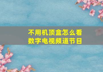 不用机顶盒怎么看数字电视频道节目