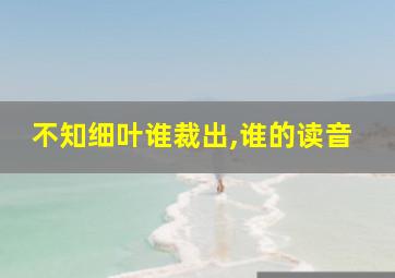 不知细叶谁裁出,谁的读音